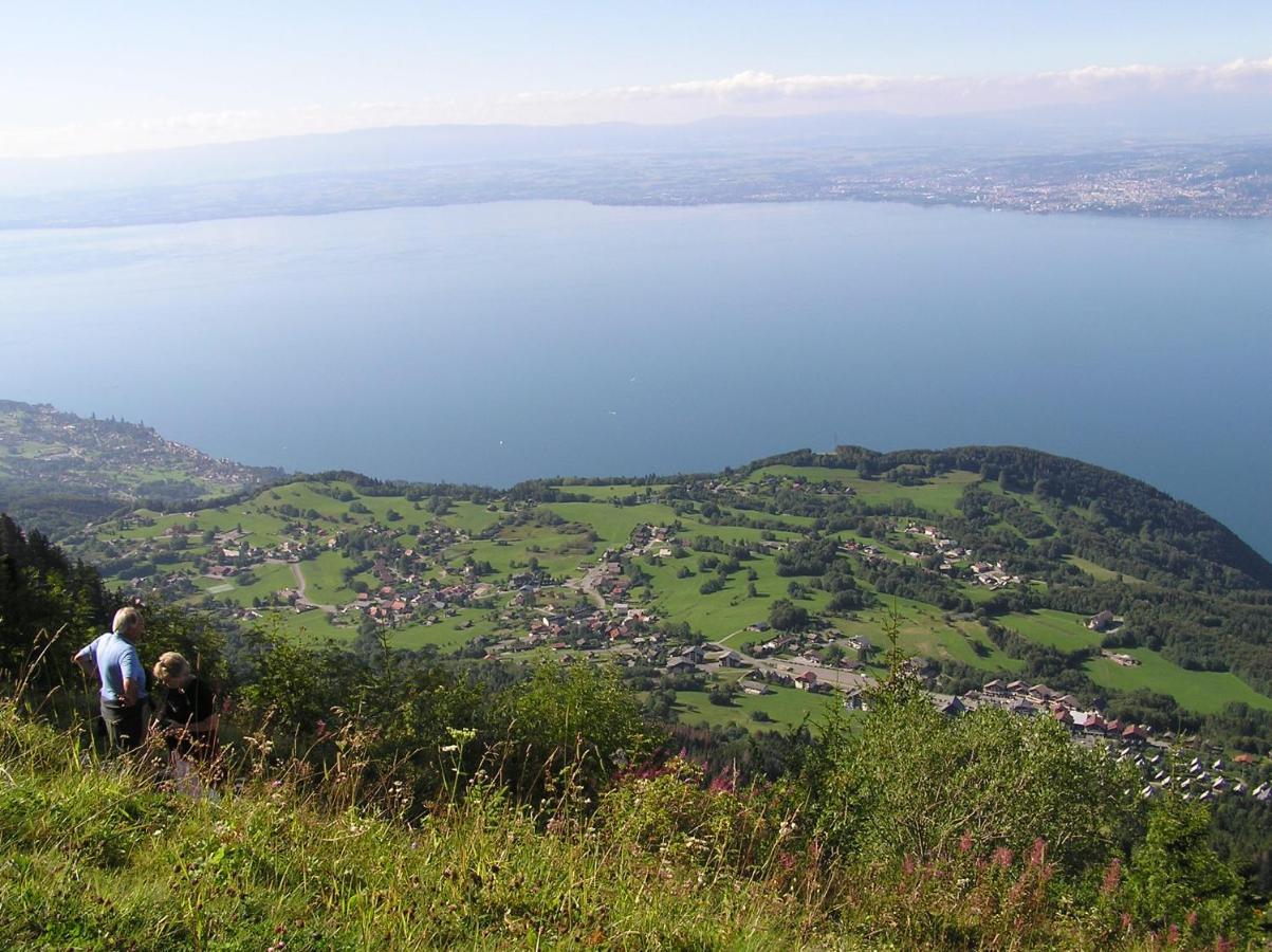 Appartement T2 A Bernex Avec Wifi, Vue Sur Montagne Exterior foto